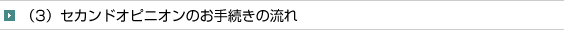 i3jZJhIsjÎ葱̗